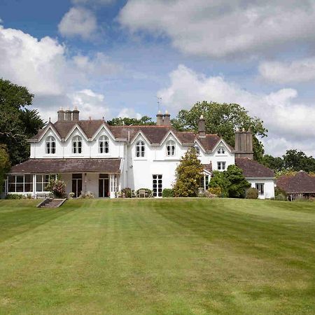 Hollybank House Bed and Breakfast Emsworth Eksteriør billede